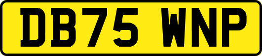 DB75WNP