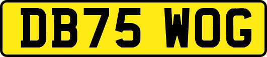 DB75WOG