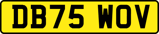 DB75WOV