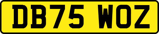 DB75WOZ