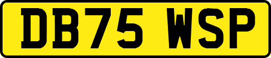 DB75WSP