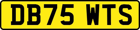 DB75WTS