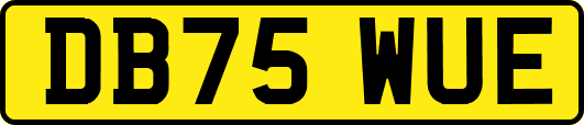 DB75WUE