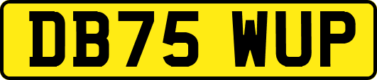 DB75WUP