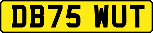 DB75WUT
