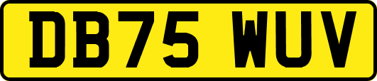 DB75WUV