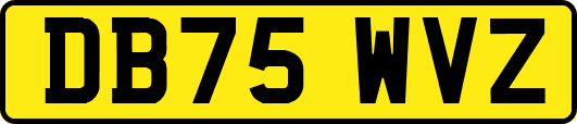 DB75WVZ