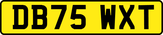DB75WXT