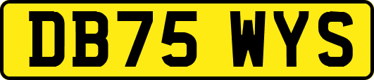DB75WYS