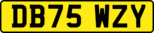 DB75WZY