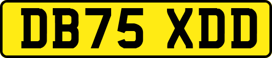 DB75XDD