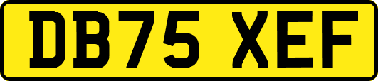 DB75XEF