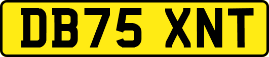 DB75XNT
