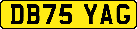 DB75YAG