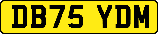 DB75YDM