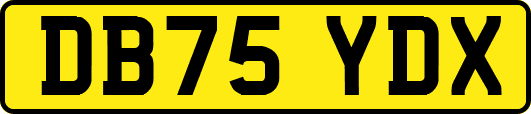 DB75YDX