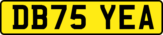 DB75YEA