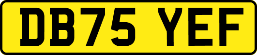DB75YEF