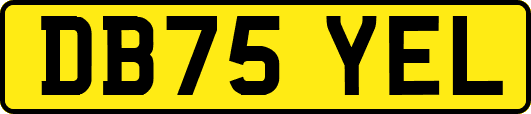 DB75YEL