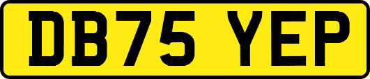DB75YEP