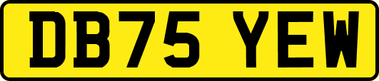 DB75YEW