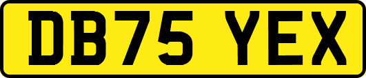 DB75YEX