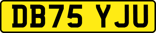 DB75YJU