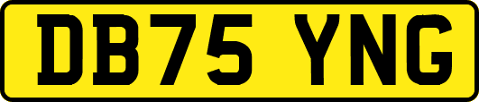 DB75YNG