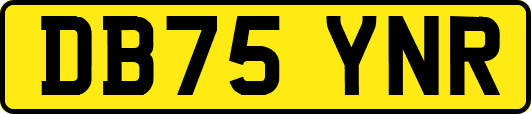 DB75YNR