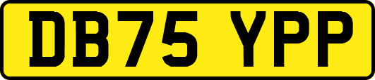 DB75YPP