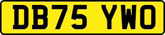DB75YWO