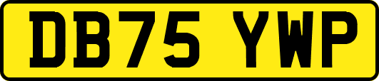 DB75YWP