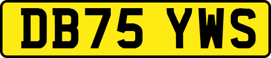 DB75YWS
