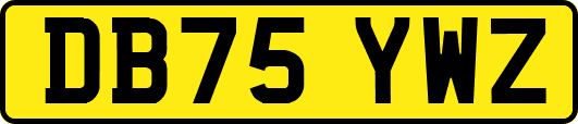 DB75YWZ