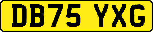 DB75YXG