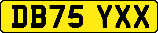DB75YXX