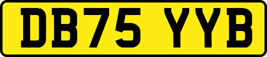 DB75YYB