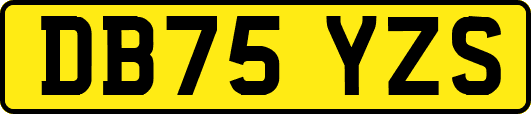 DB75YZS