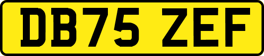 DB75ZEF