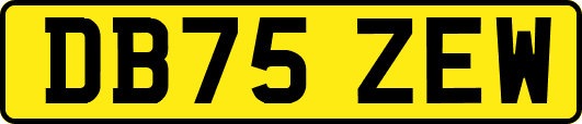 DB75ZEW