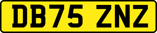 DB75ZNZ