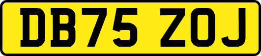 DB75ZOJ