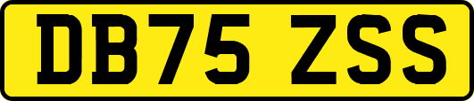 DB75ZSS