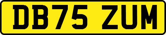 DB75ZUM