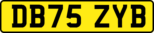 DB75ZYB