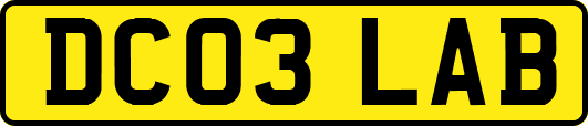 DC03LAB