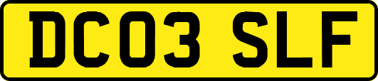 DC03SLF