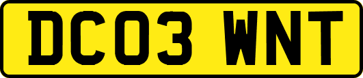 DC03WNT