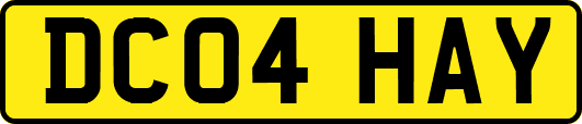 DC04HAY