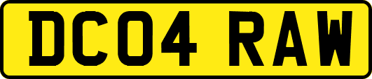 DC04RAW